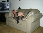 sexxy