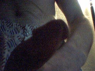 Rate Me