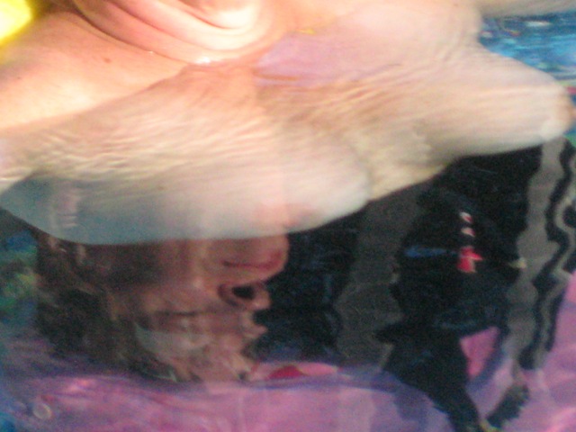 sniffer